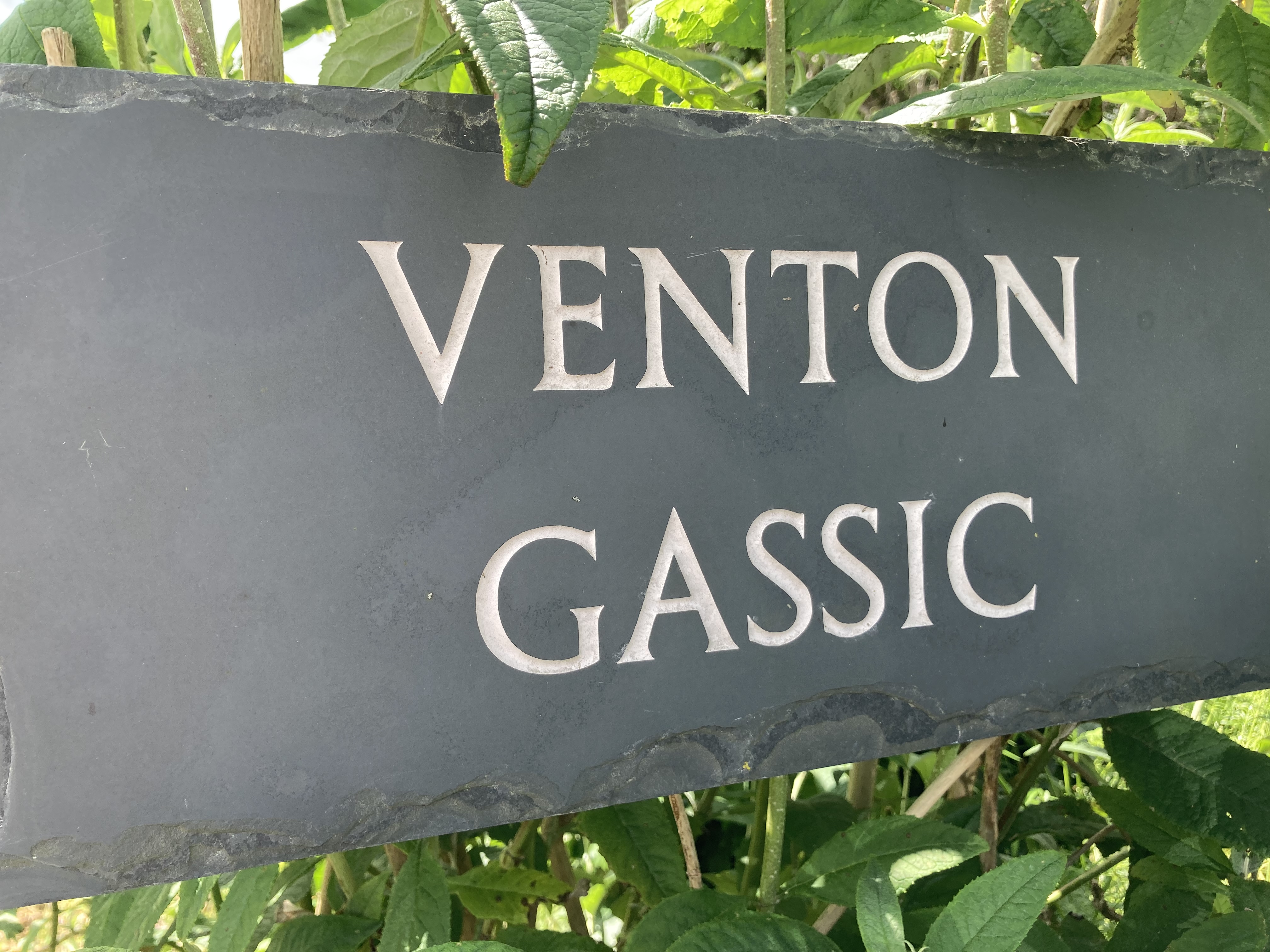 Venton gassic sign