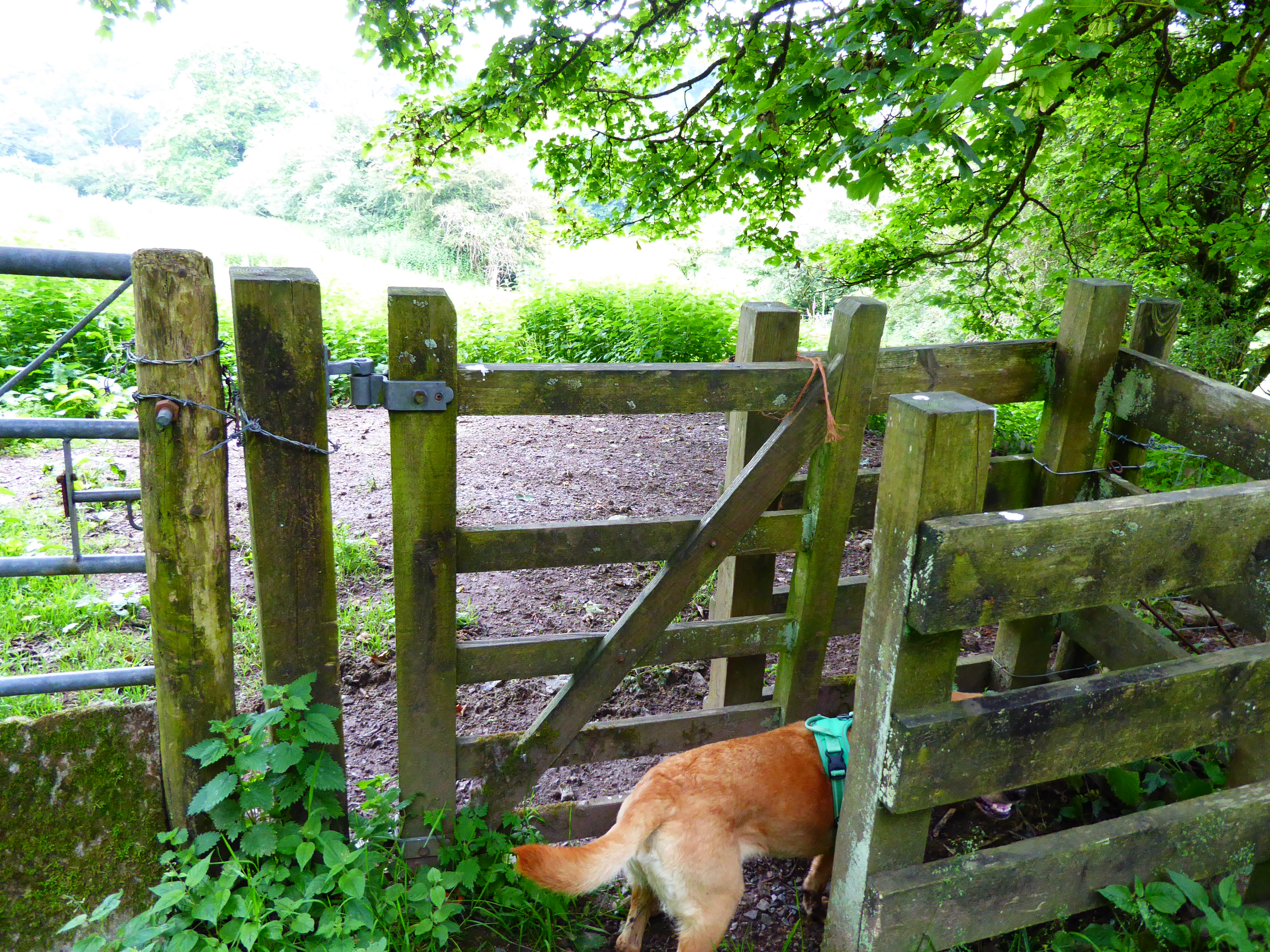 Altarnun gate to well