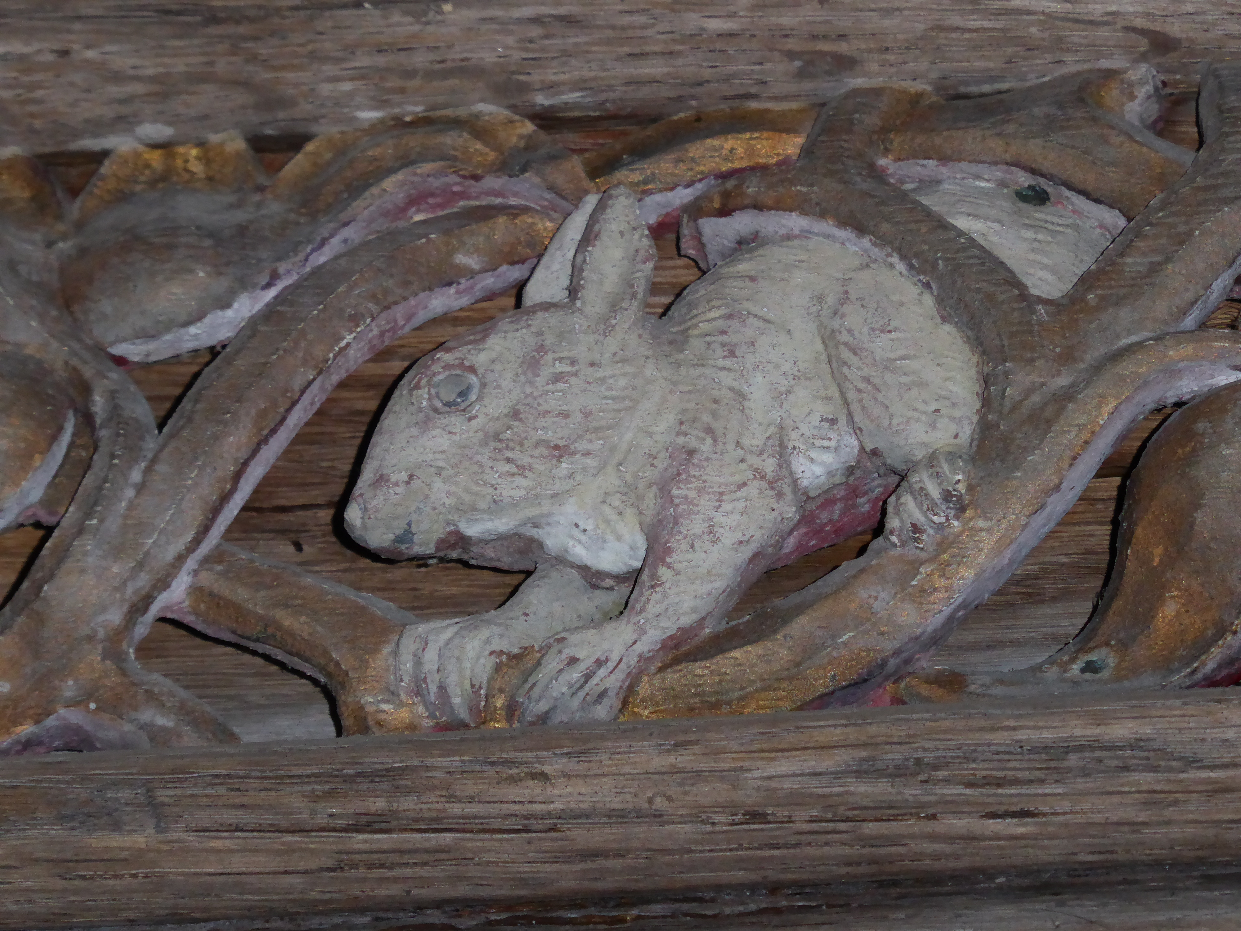 Llantwit Major rabbit