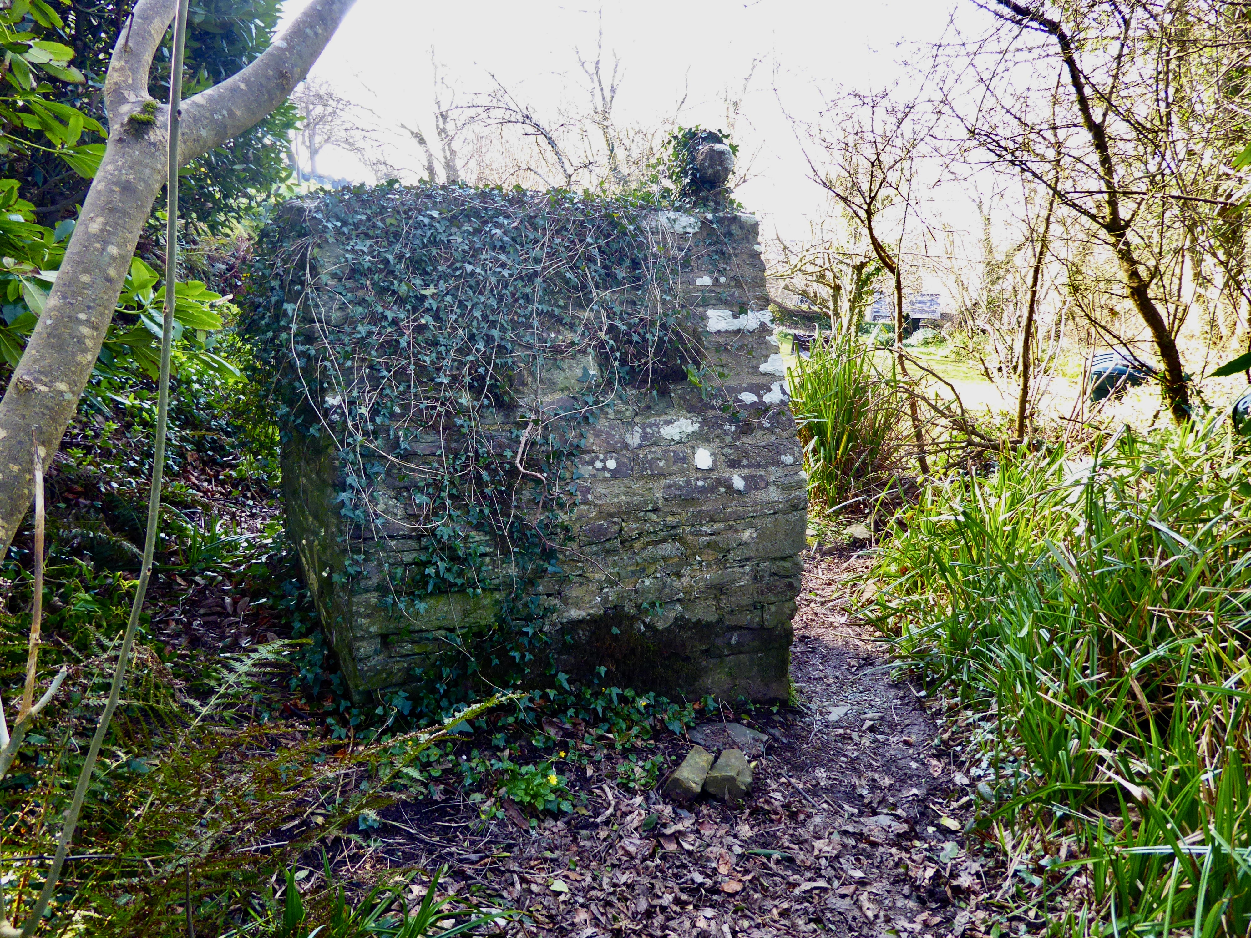 Holy well morwenstow