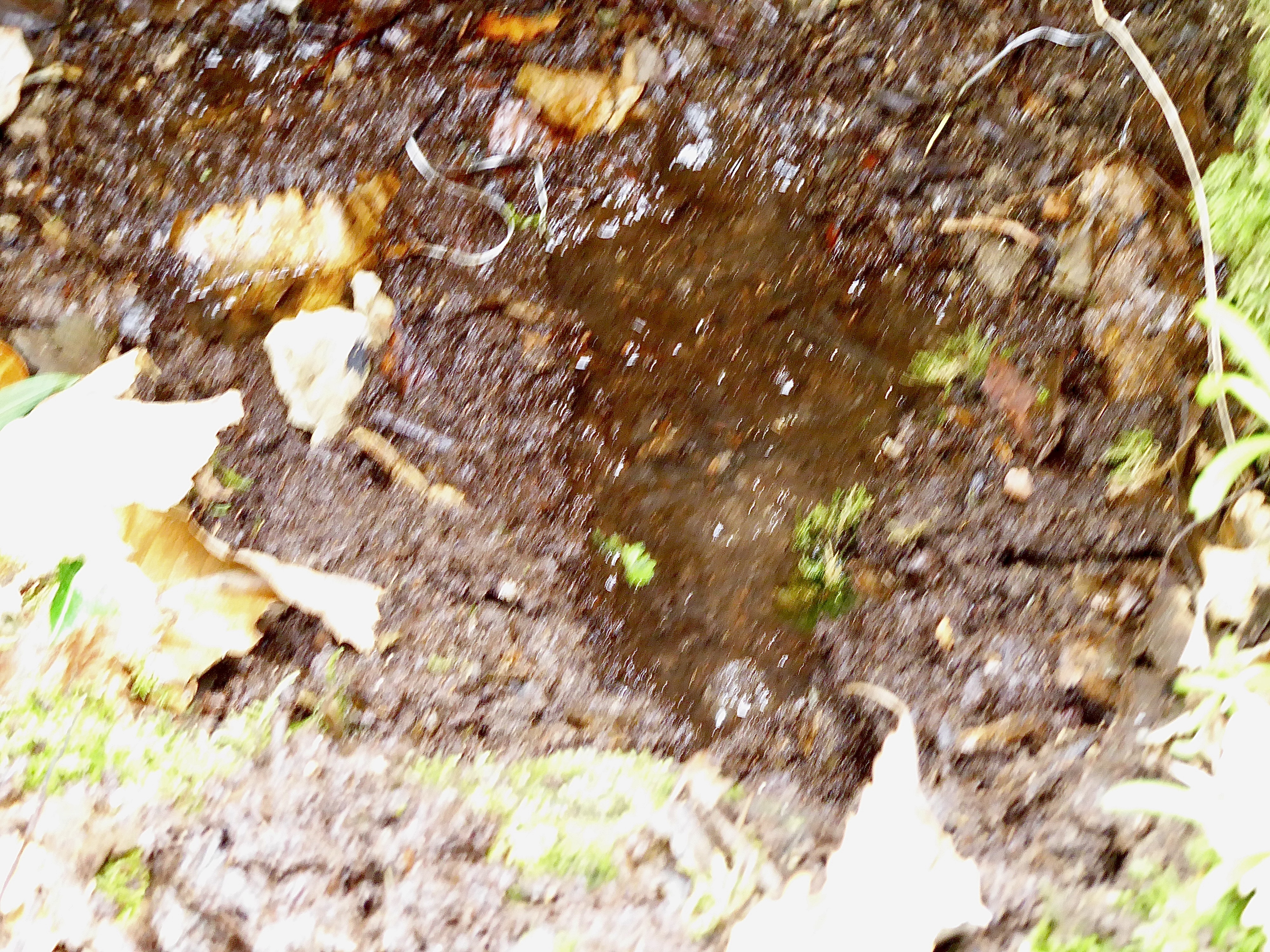 St mawgan well water