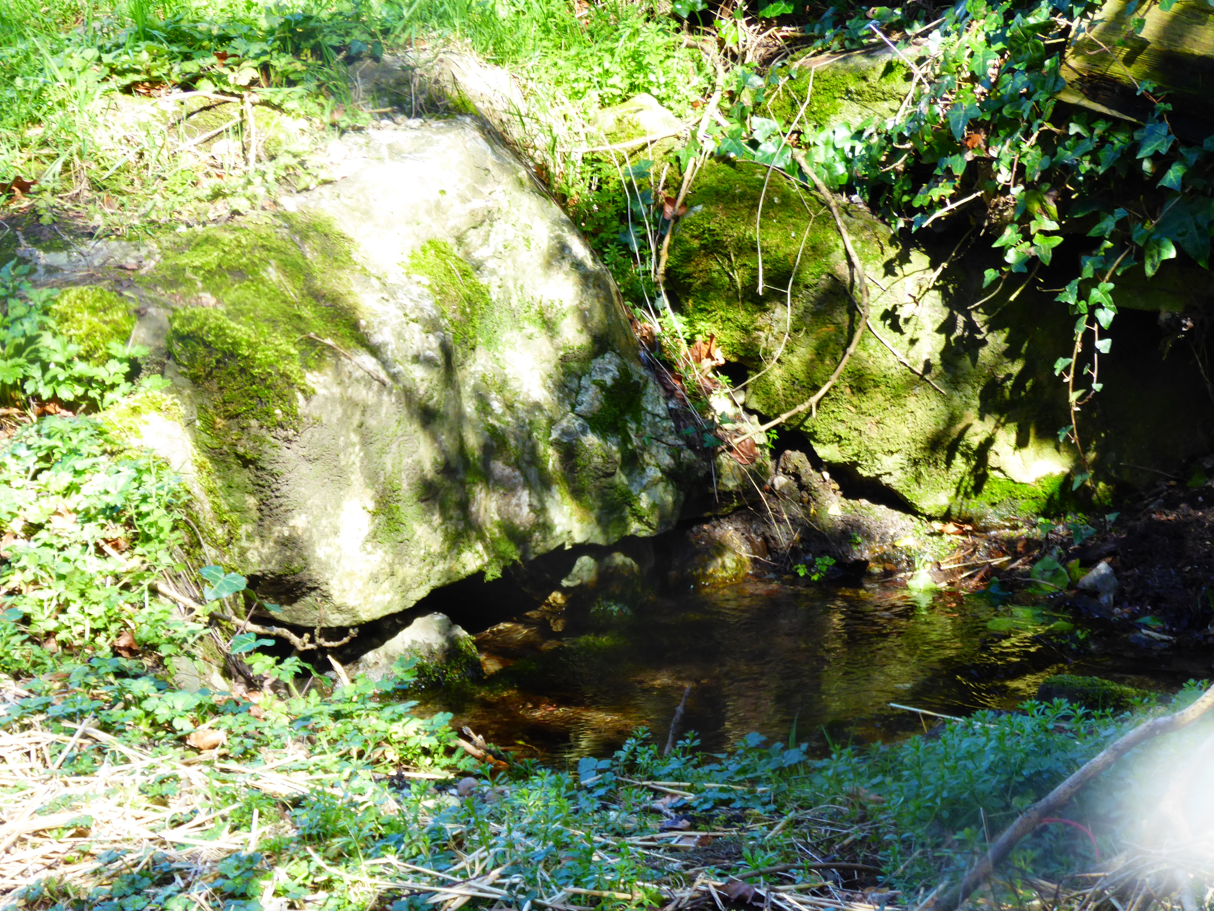 Fenton Leno pool padstow