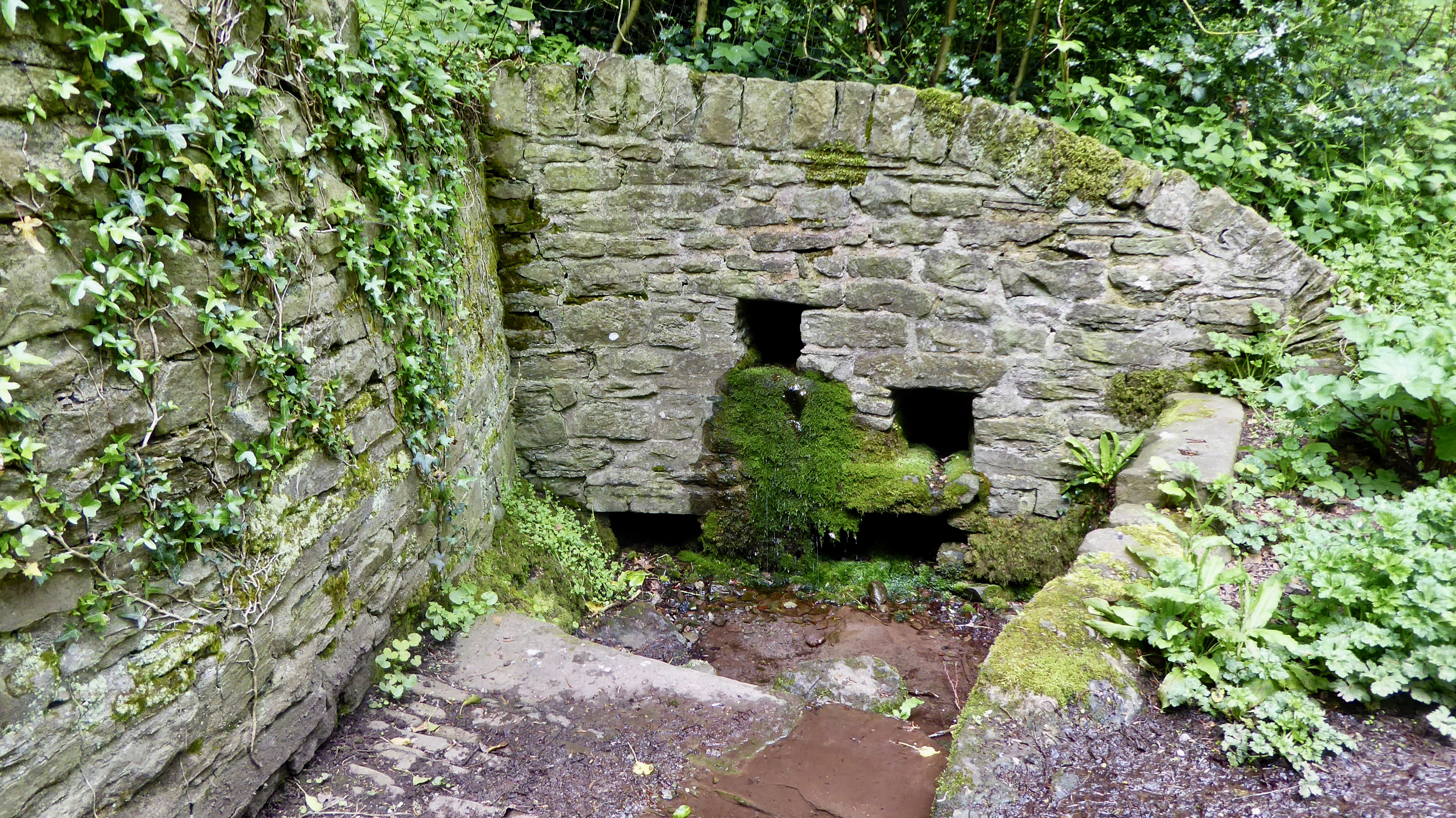 Holy well Brecon