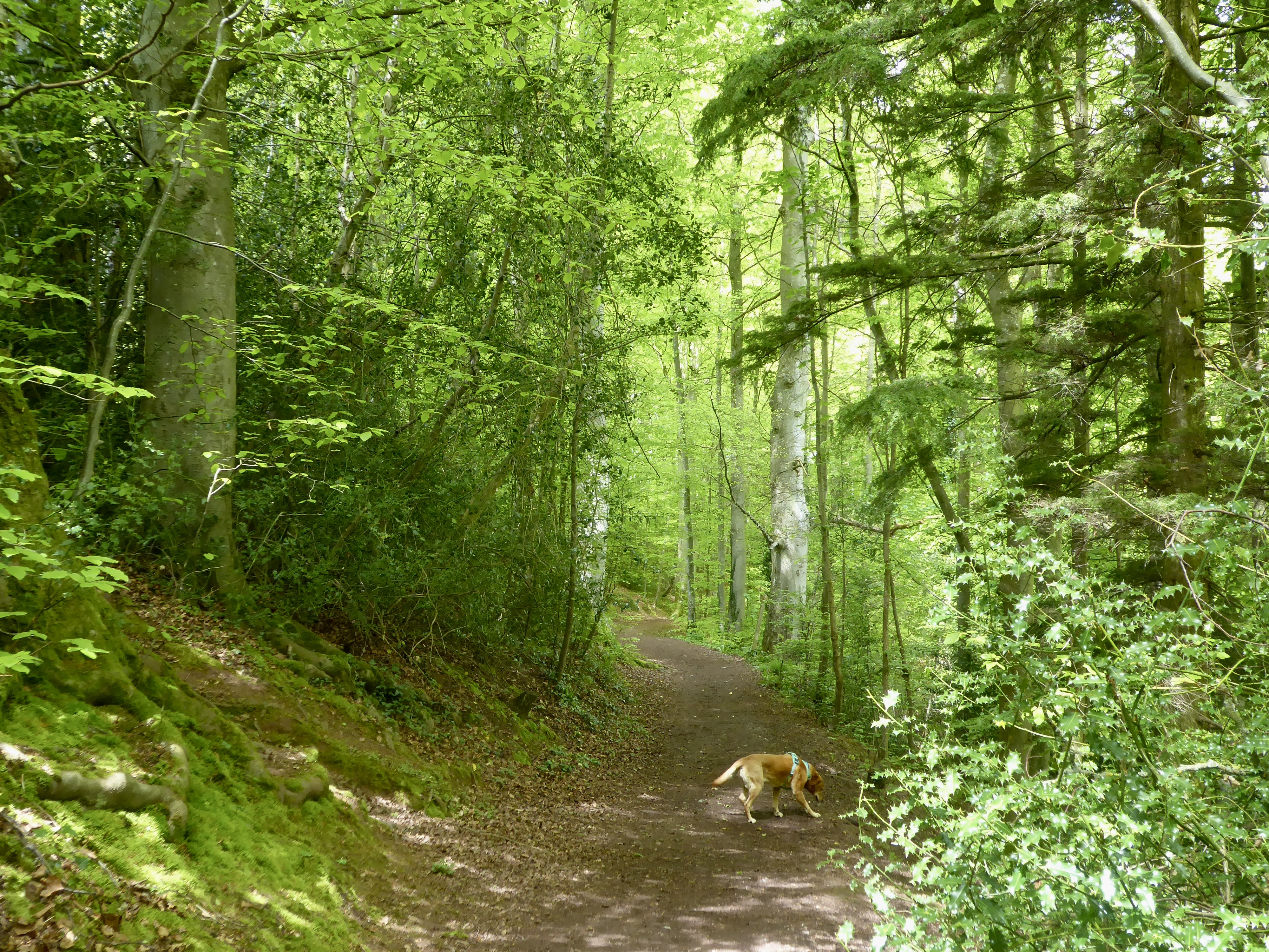 Below Brecon cathedral
