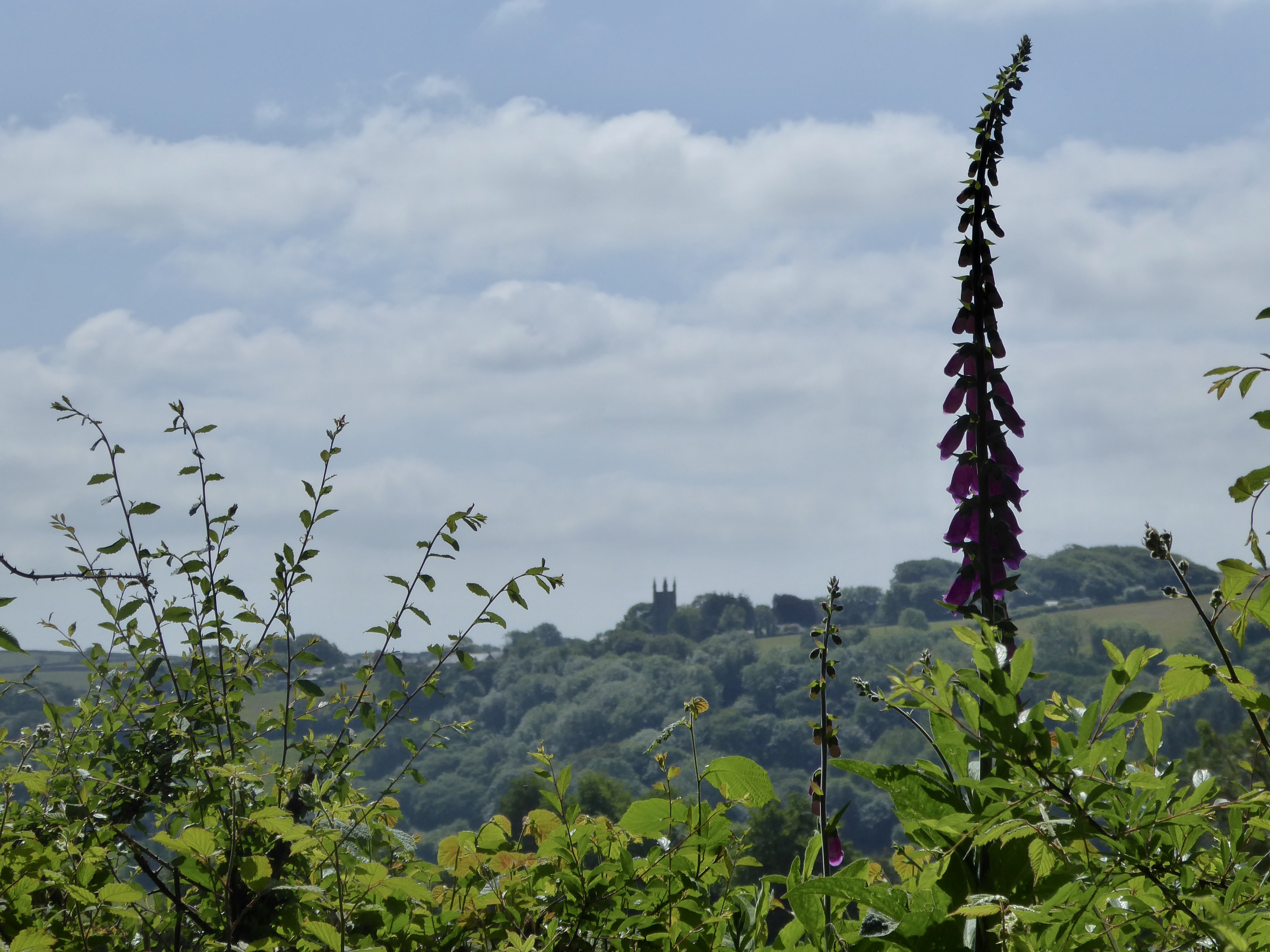 SInts way withiel church in distance