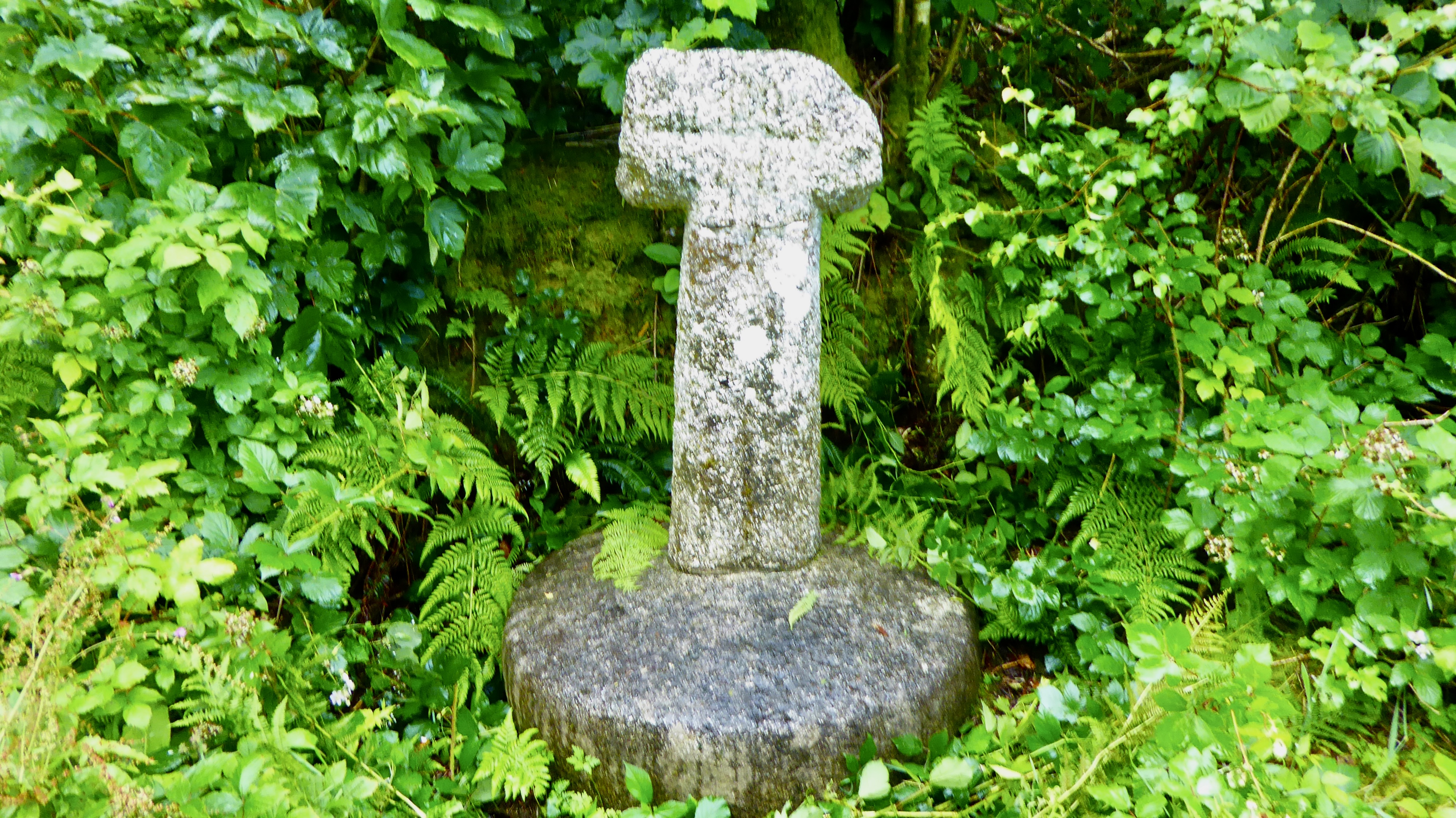 Killboy cross