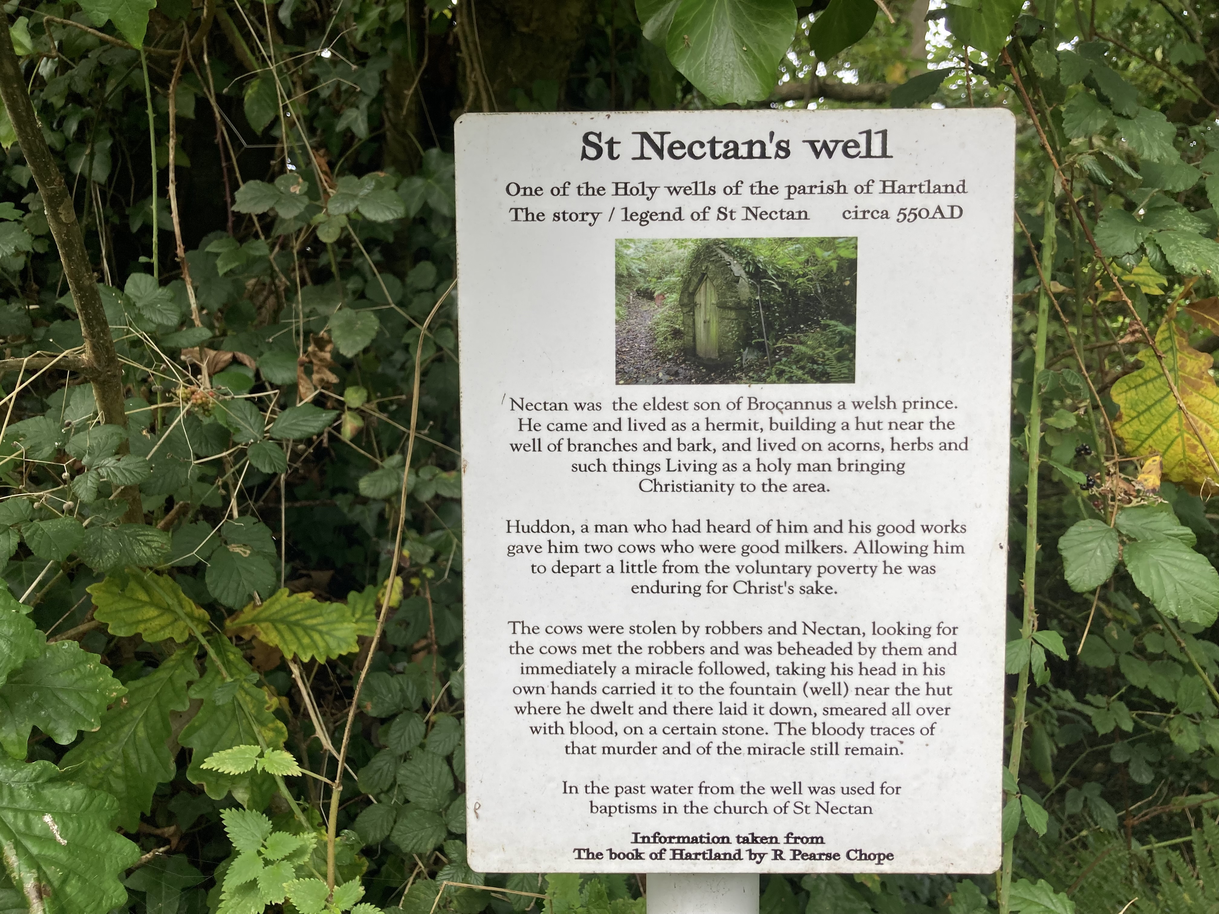 Nectans well Hartland