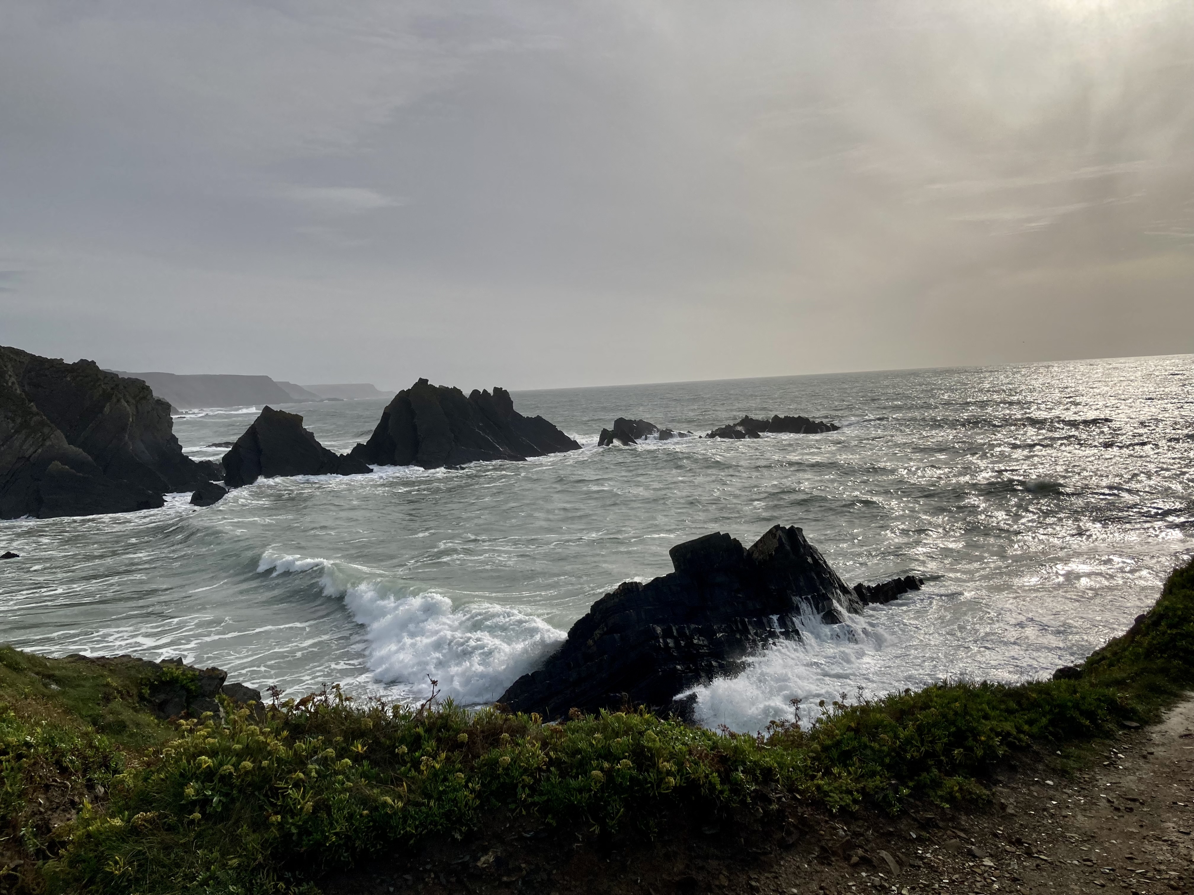 Hartland coast