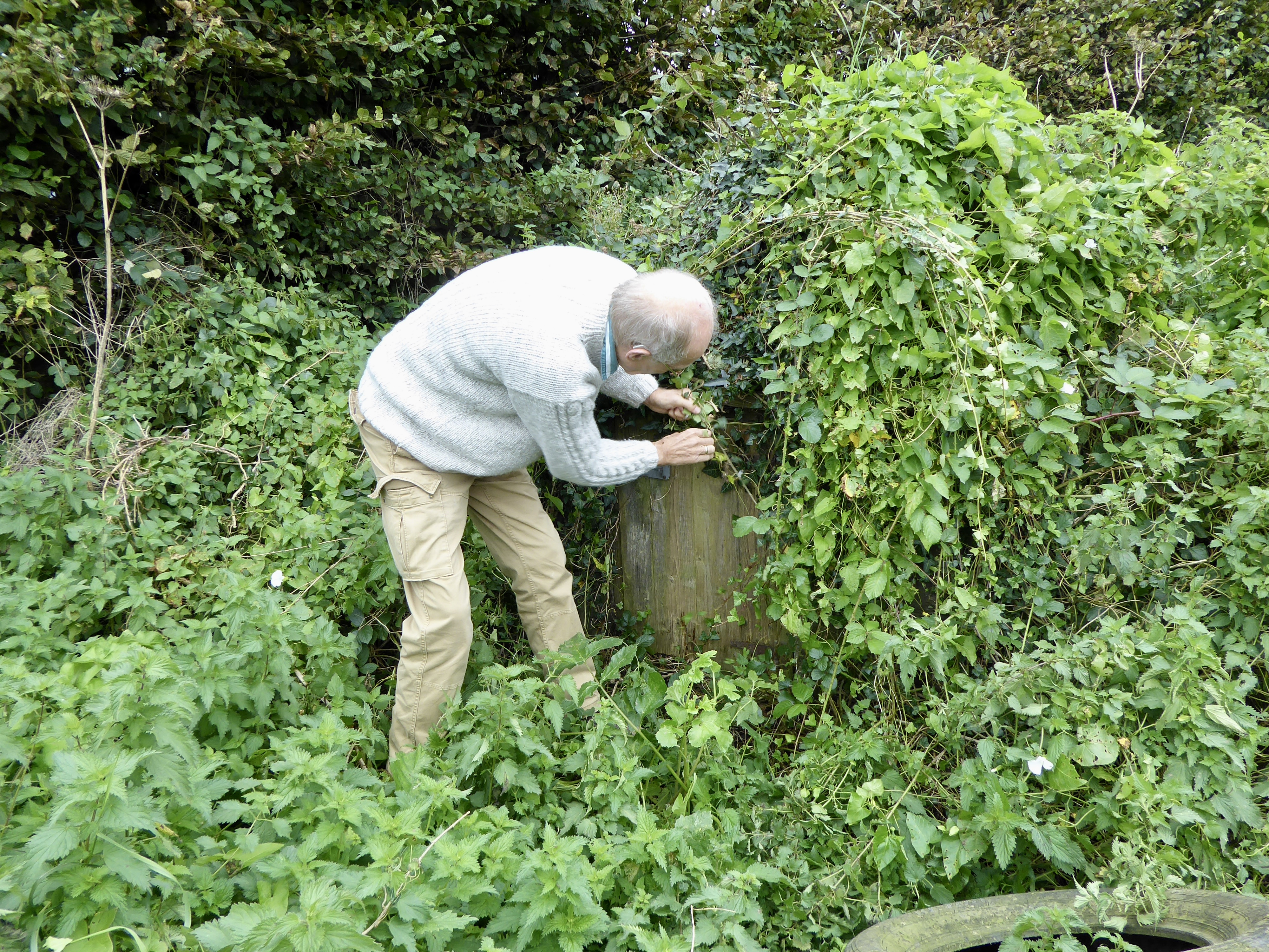 St Clare’s holy well philham