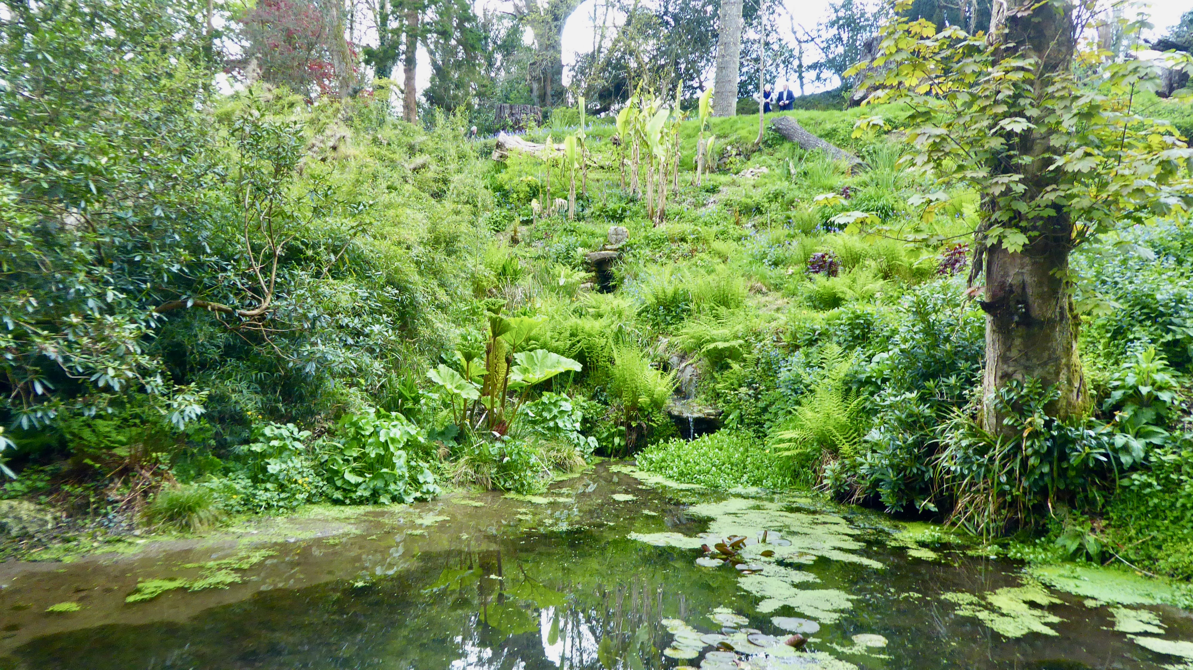 Lavethan holy well