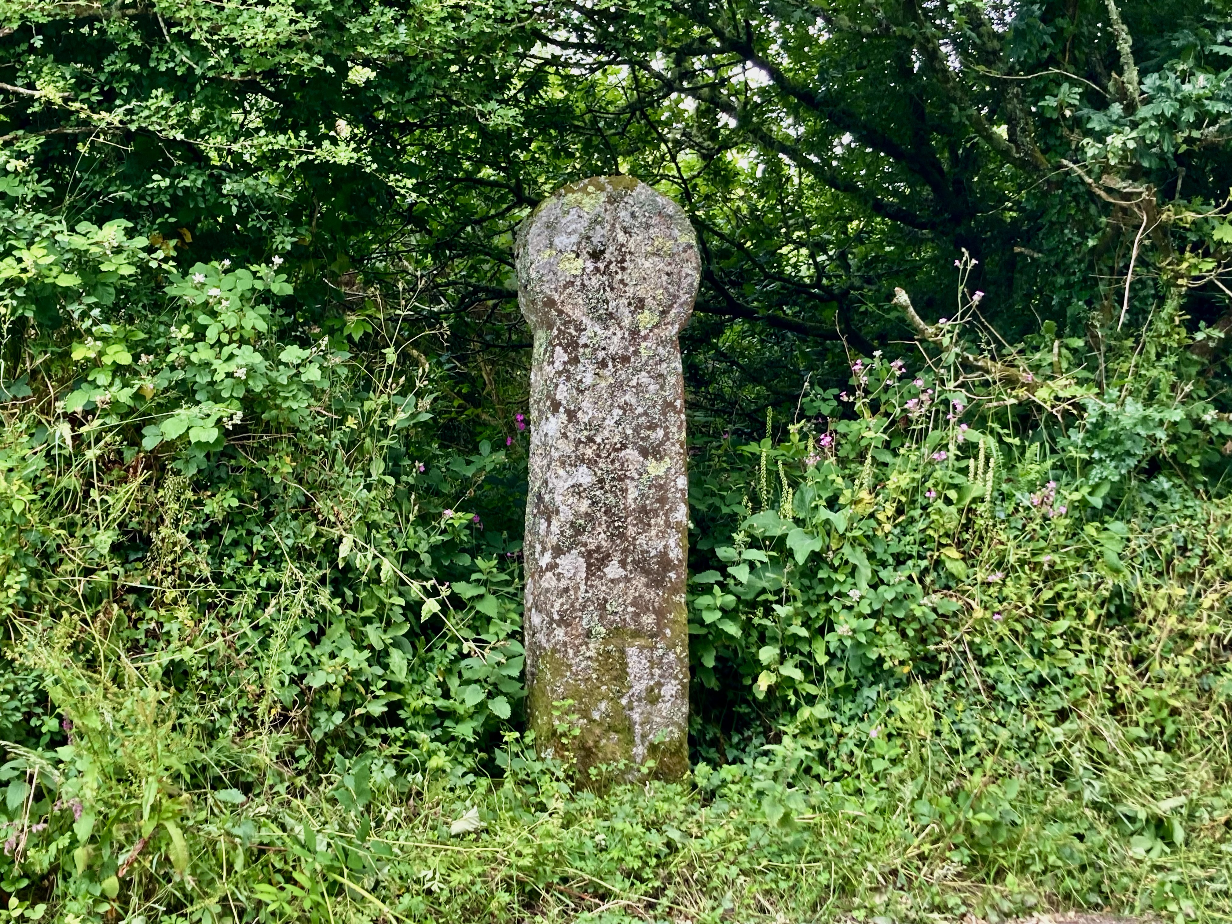 Wayside cross on the lizard