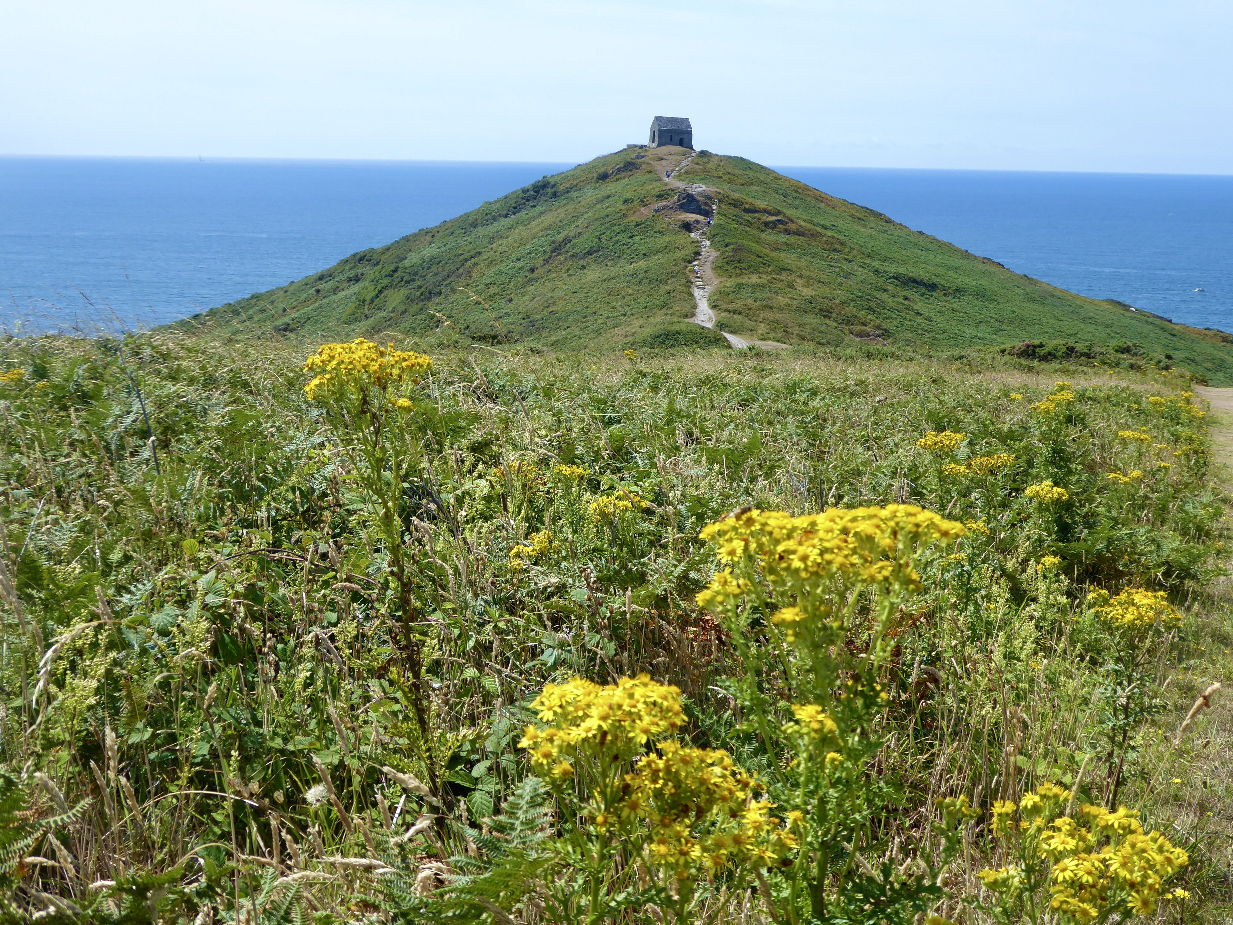 Rame head