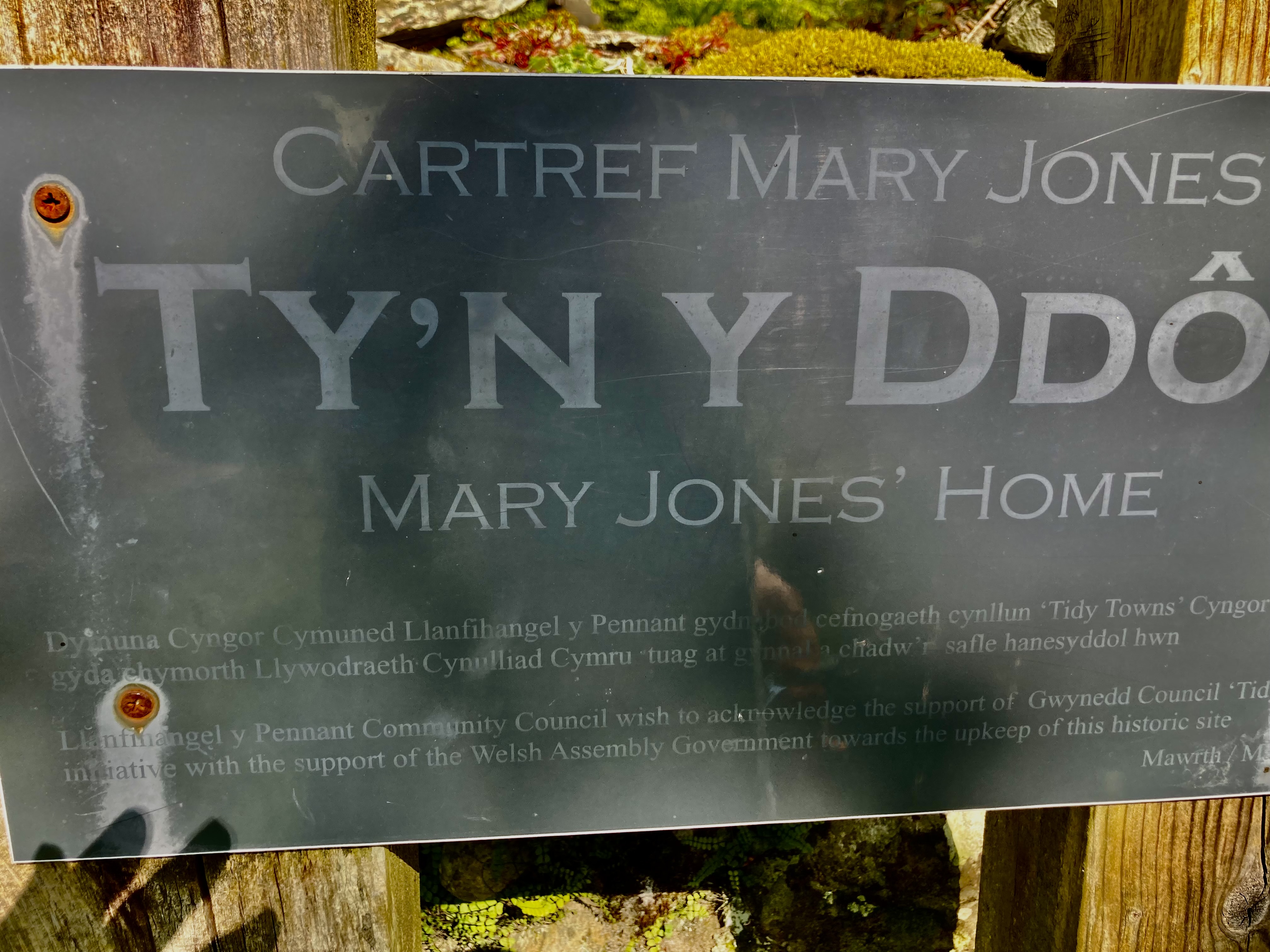 Mary jones home