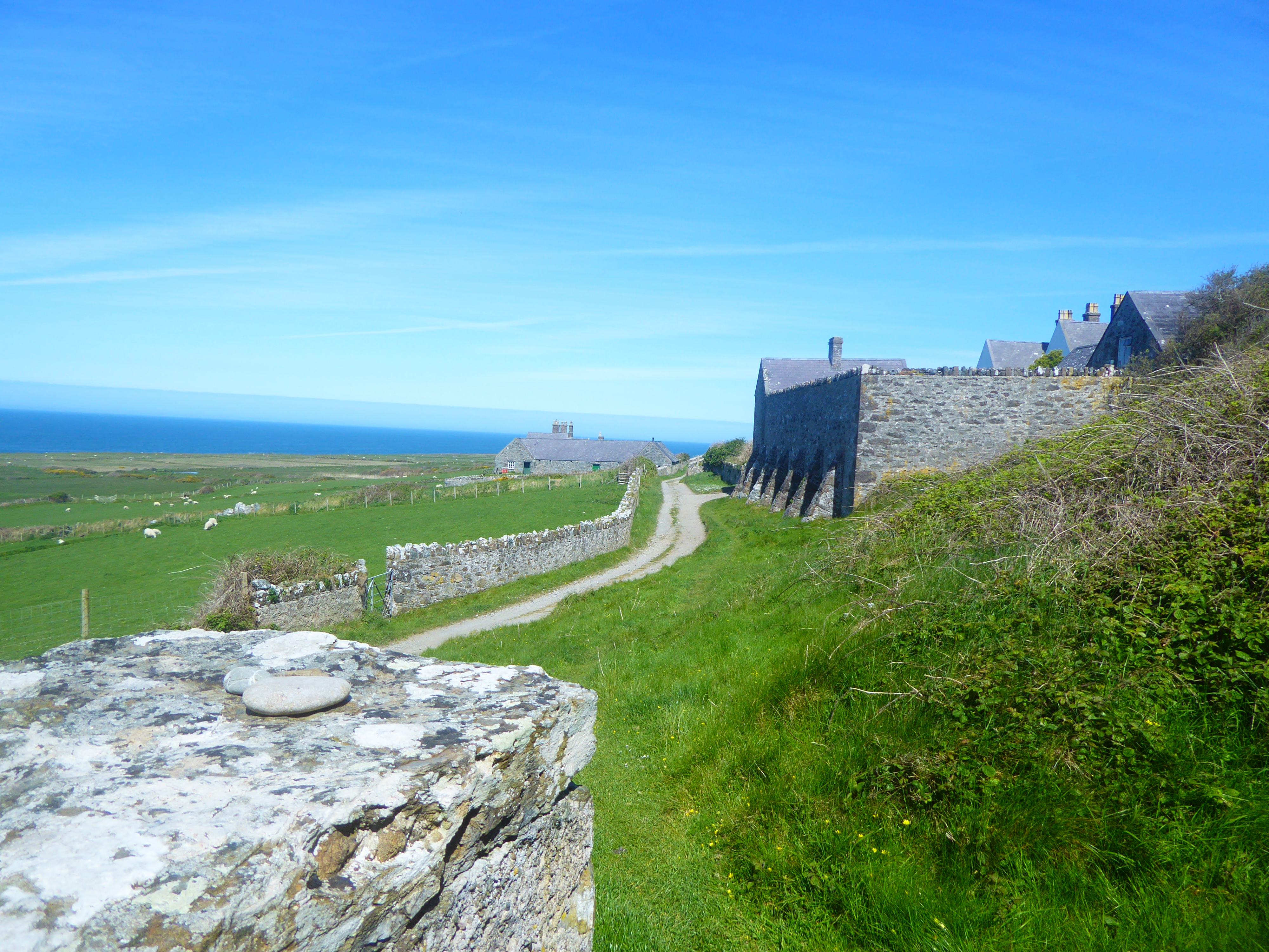 Bardsey1