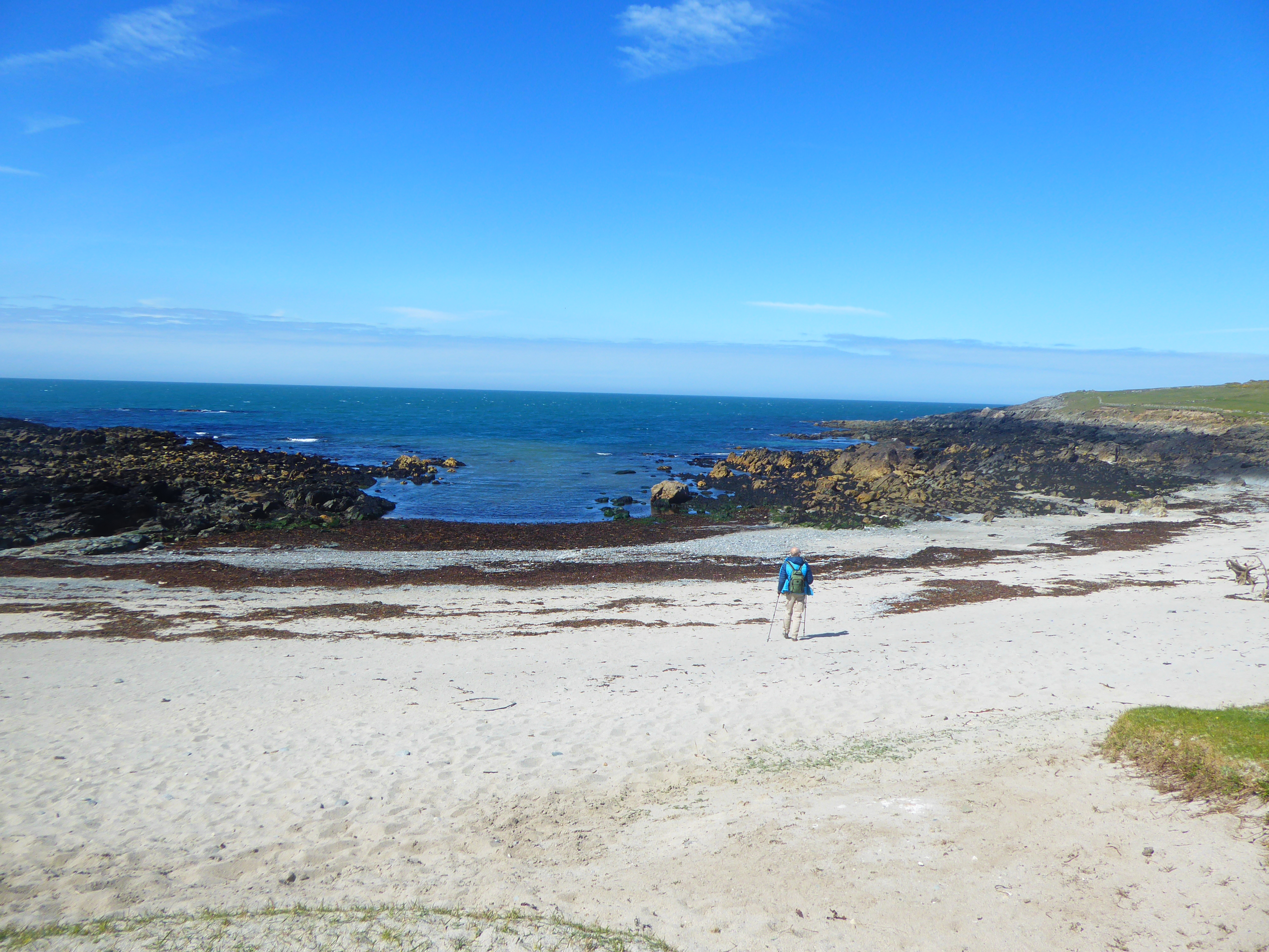 Bardsey3