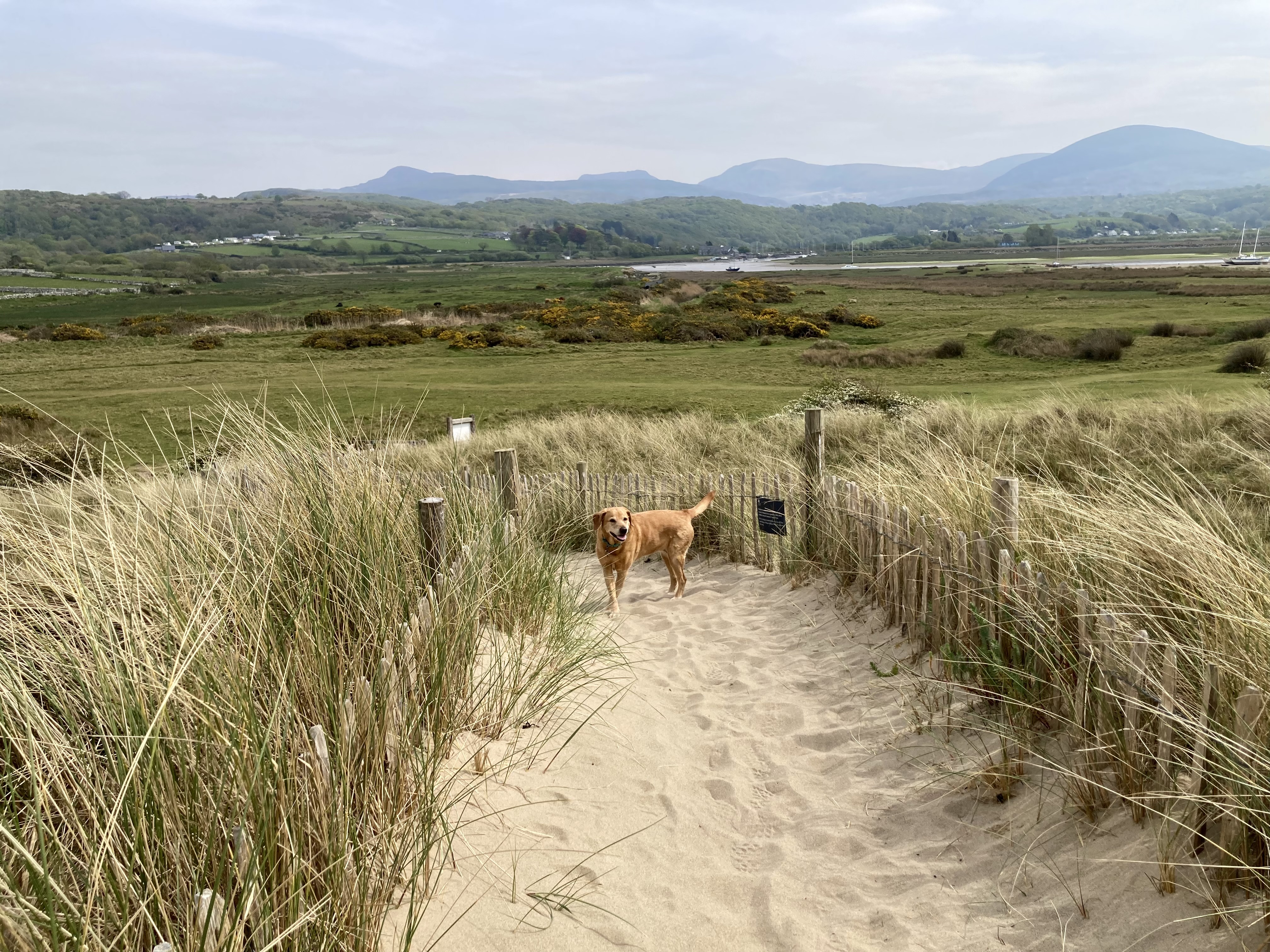 Llandanwg