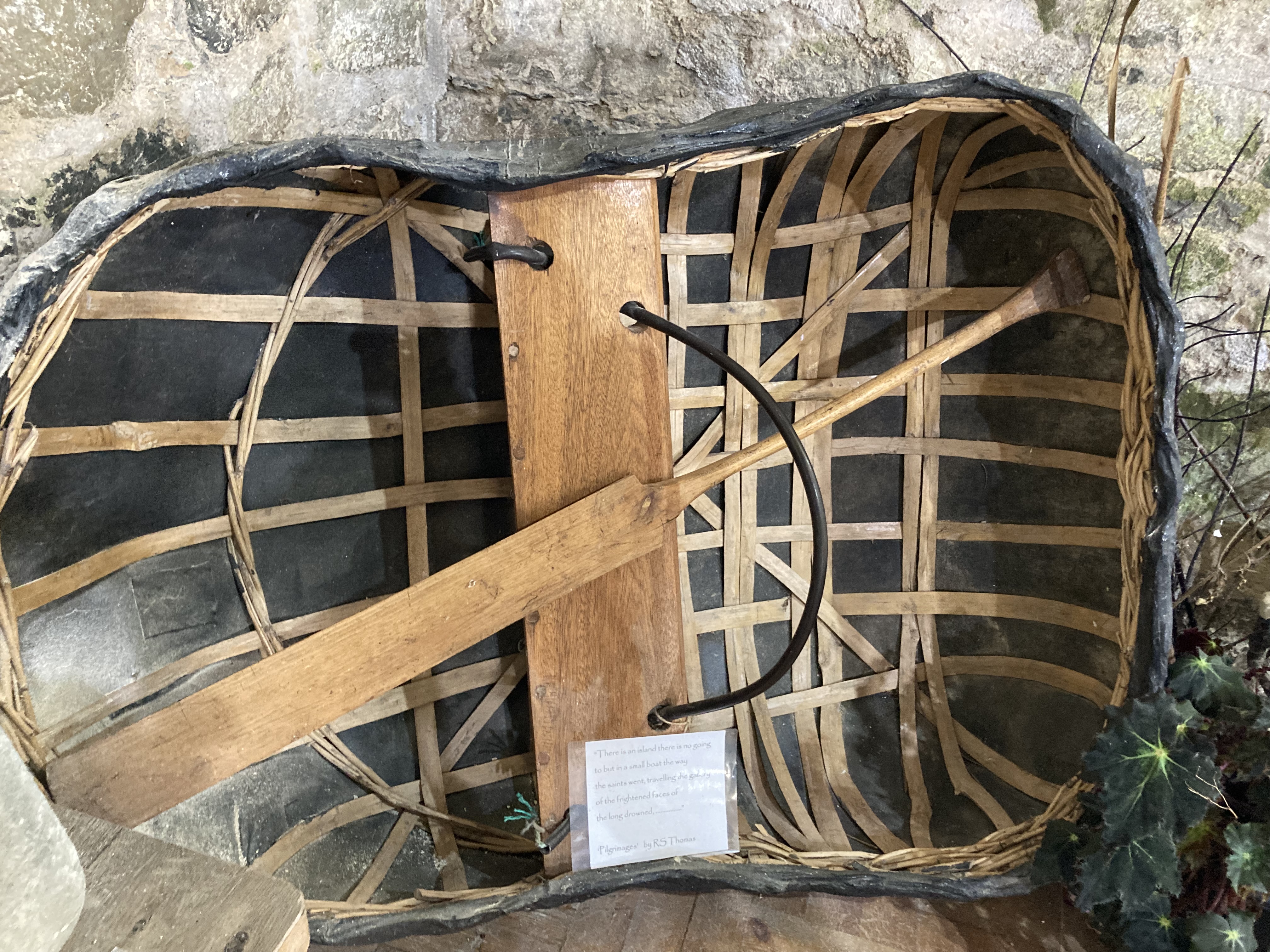 Coracle