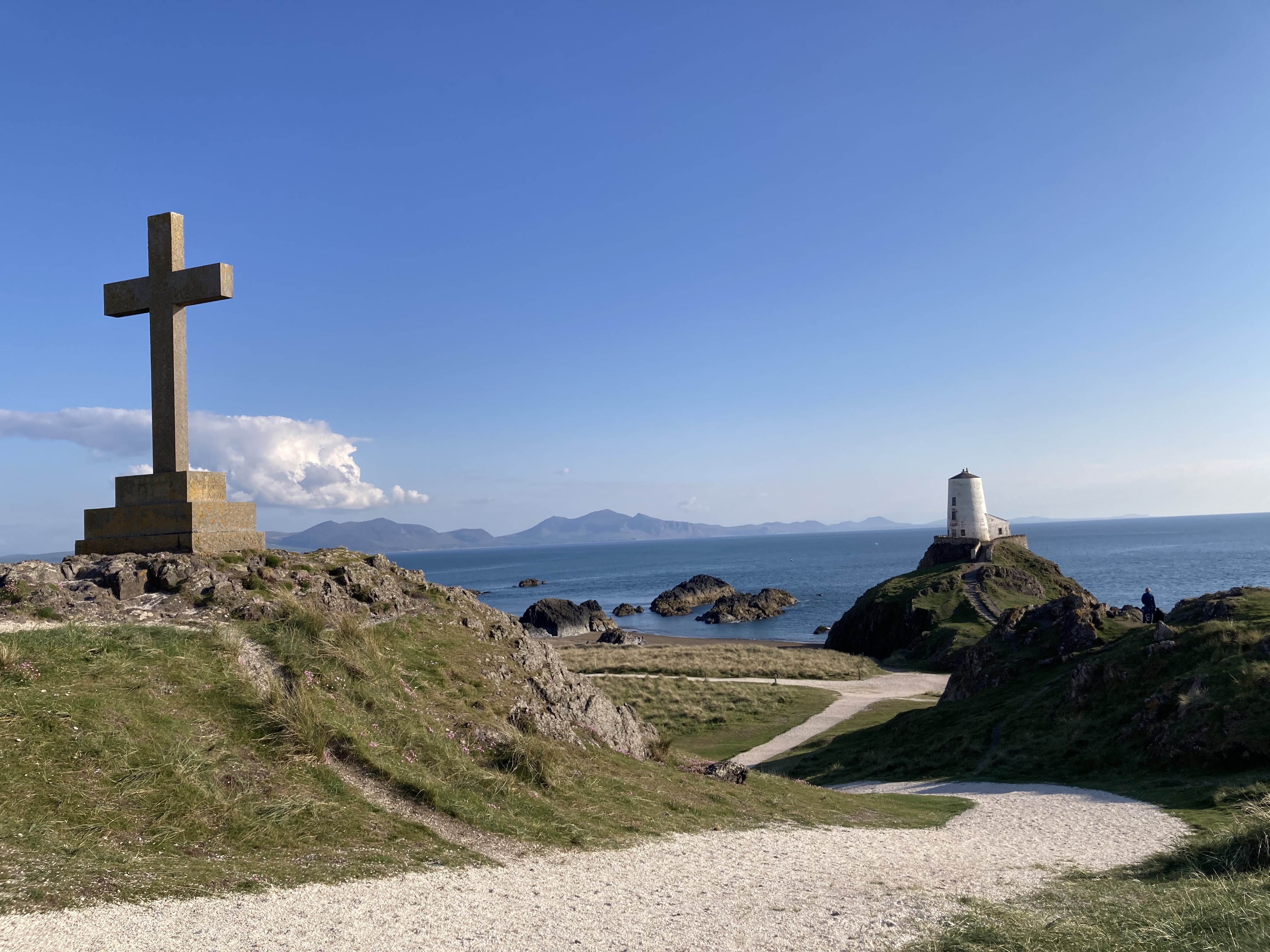 Llandwyn6