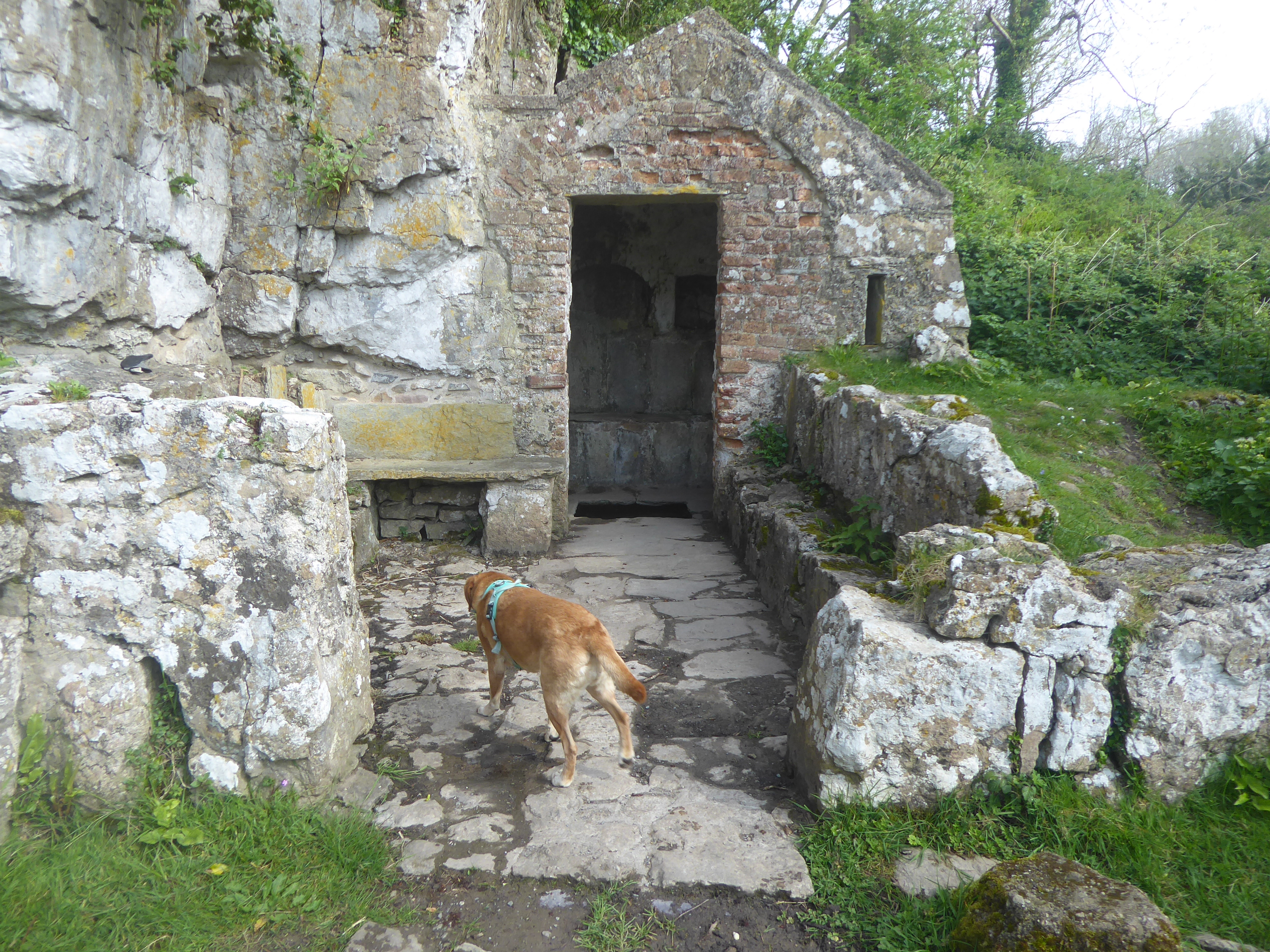 St siririol