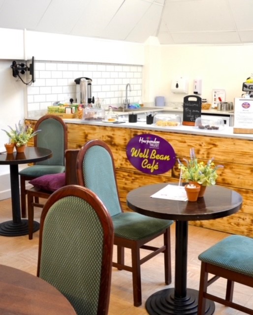 Well Bean 1st June 24 4