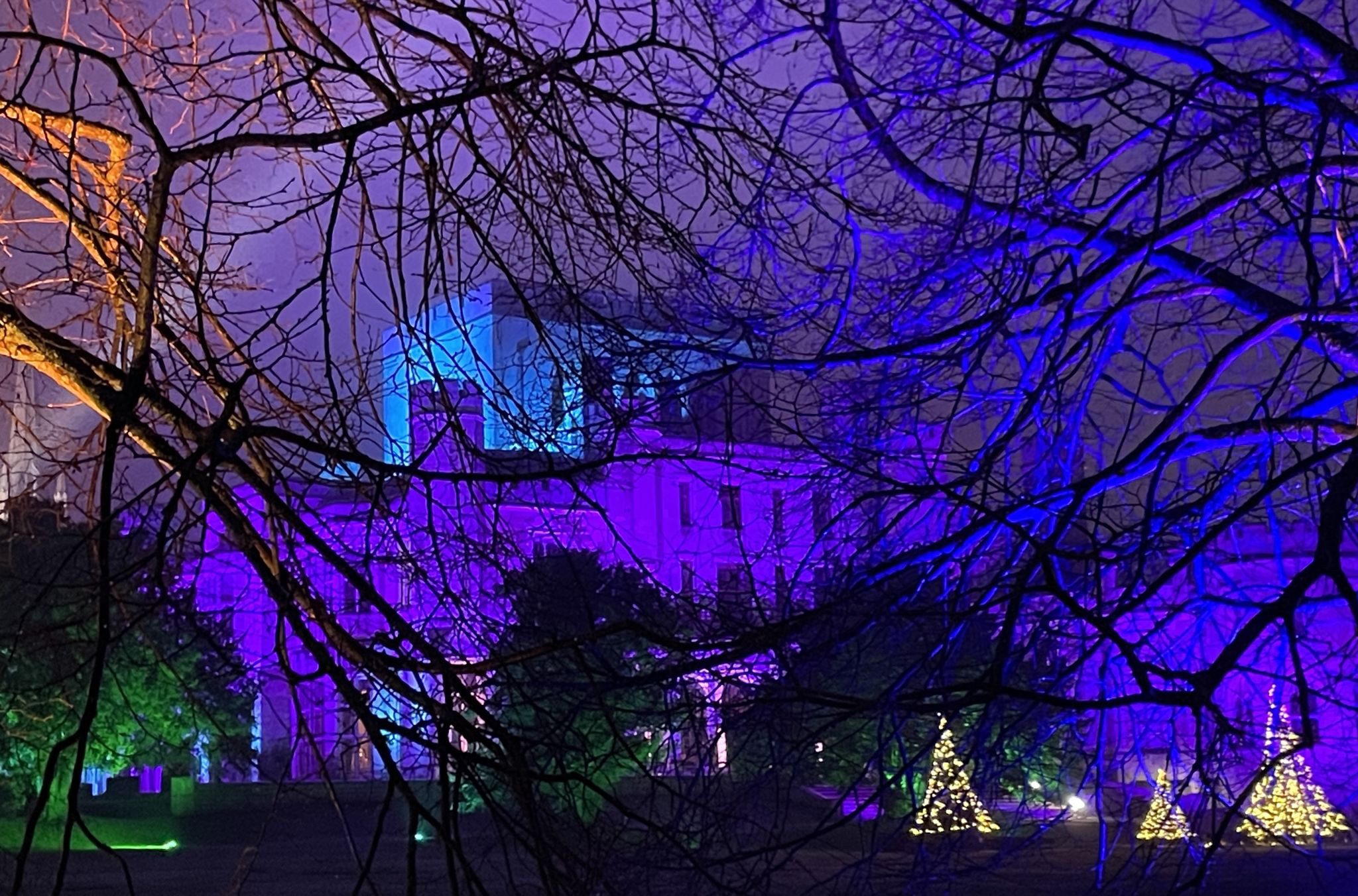 Ashridge-Dec24-content 2